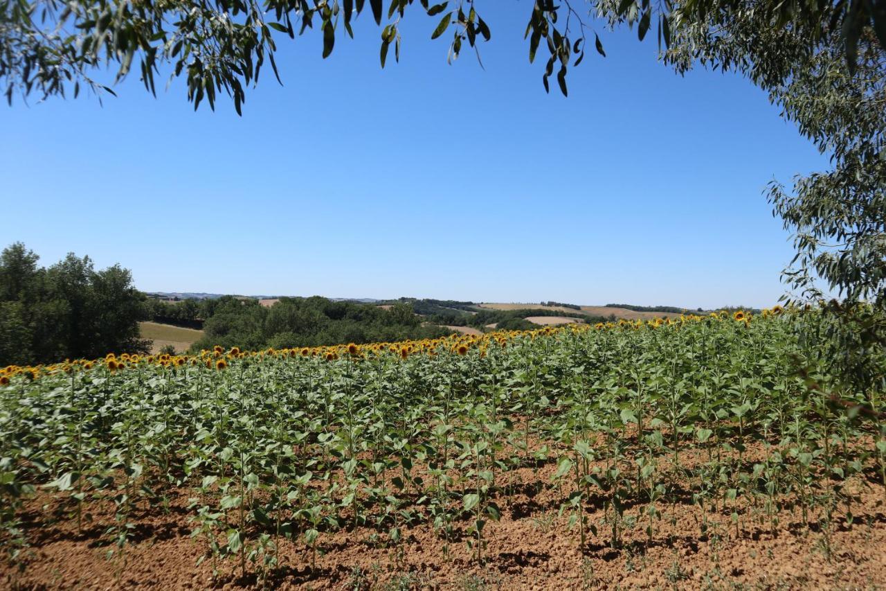 Le Clos Mirelie Gaujac  Exterior foto